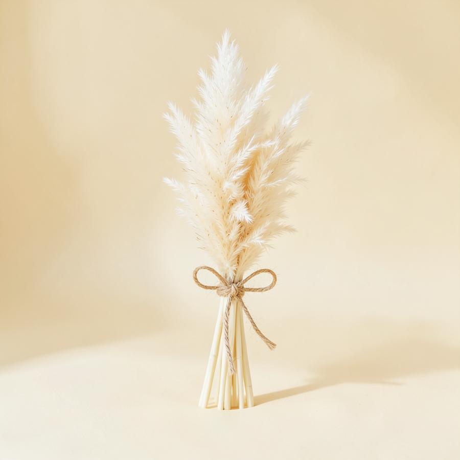 Dried Pampas Bunch