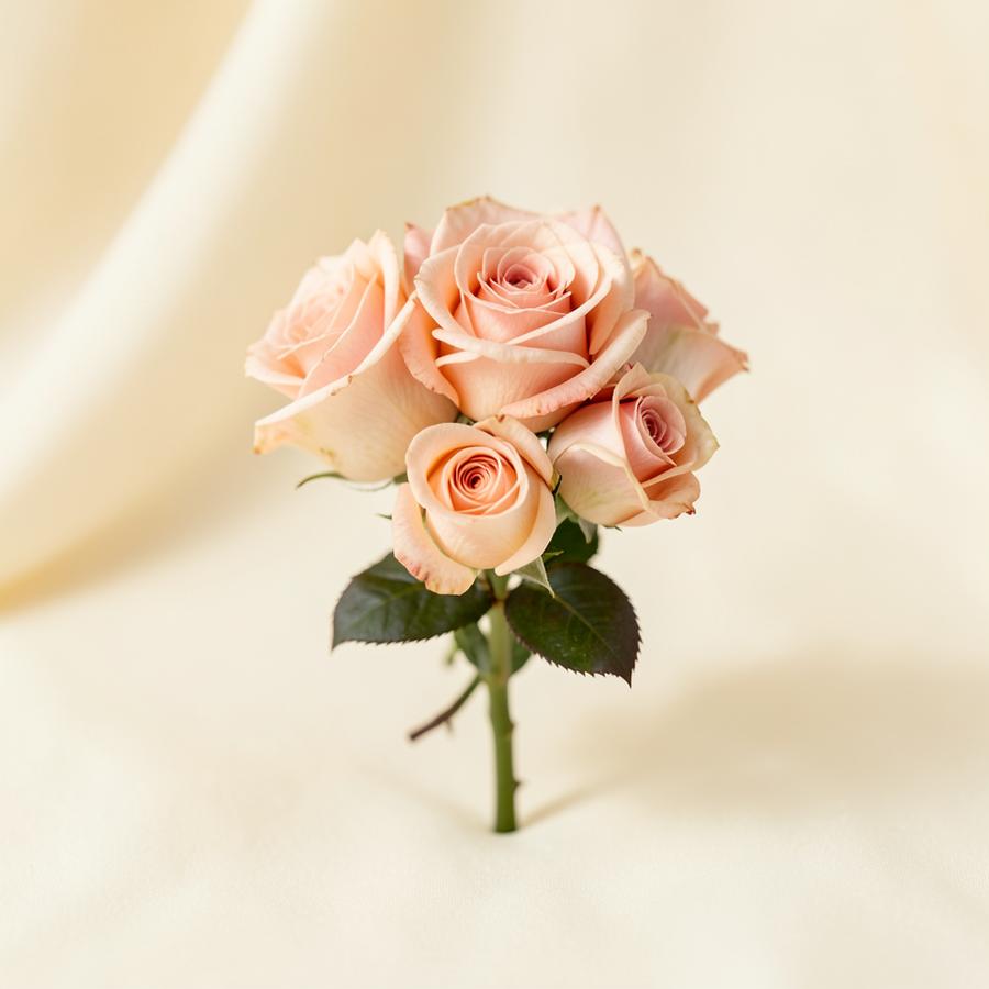 Preserved Rose Posy